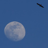 a kite and the moon