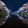 春の夢の続き４