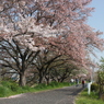 Iお散歩