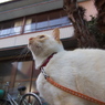 明日を見つめる。