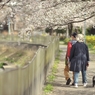 spring for tokyoites 2022