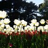 常陸那珂、海浜公園２