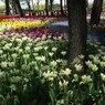 常陸那珂、海浜公園３