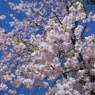 April Sky