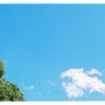 春の青空