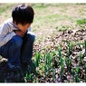 芽生え