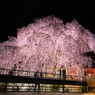 人里バス停の桜２