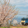 2020.4.2 遅3075レ EF64 1023②