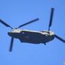 「青が大好き」 陸上自衛隊 ヘリコプター　チヌーク　
