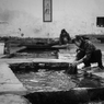 水の二毛作　