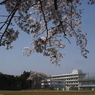 写真エッセイ：桜９：高校と桜：NTW330