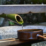 photo_1104724