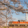 2020.4.7 2084レ DD51 1802