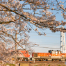 2020.4.7 8075レ DD51 1028+DF200