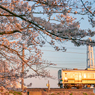2020.4.7 夕陽と普通列車