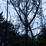 L1000097