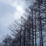 DSCF0209