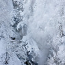 DSCF0317