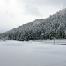 DSCF0361