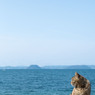 春の海