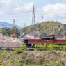 2020.4.10 春の6079レ DD51 1028