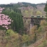 桜とディーゼルカー