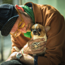 教授と仔犬