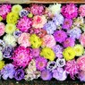 花まいり ５月