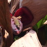 R0011087