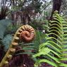 R0011044