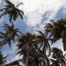 R0010149
