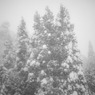 Winterbreath2009-2010_IMG_0010