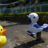 お休みの過ごし方③　お散歩
