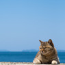爽やか5月