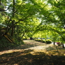 P5030096