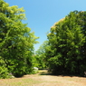 P5040049