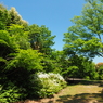 P5040063