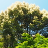 P5040065