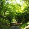 P5040071