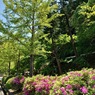 PDSC_4318
