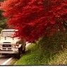 ランクルのある風景 88