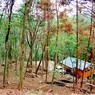 ランクルのある風景 89