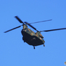 「スカイ」 陸上自衛隊　JGSDF ヘリコプター　チヌーク