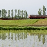 小湊鉄道沿線風景！①