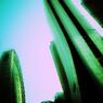 DSC04438_R