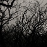 DSC04451_R