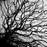 DSC04452_R