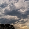 DSC04453_R