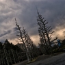 DSC04481_R