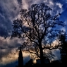 DSC04512_R